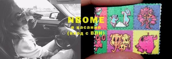 шишки Заводоуковск