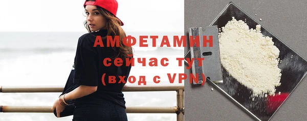 шишки Заводоуковск