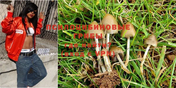 таблы Заволжск