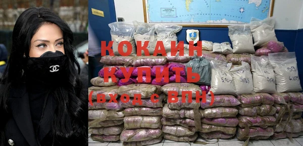 шишки Заводоуковск