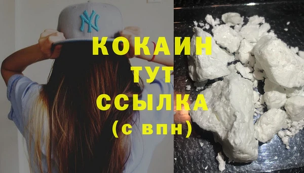 шишки Заводоуковск