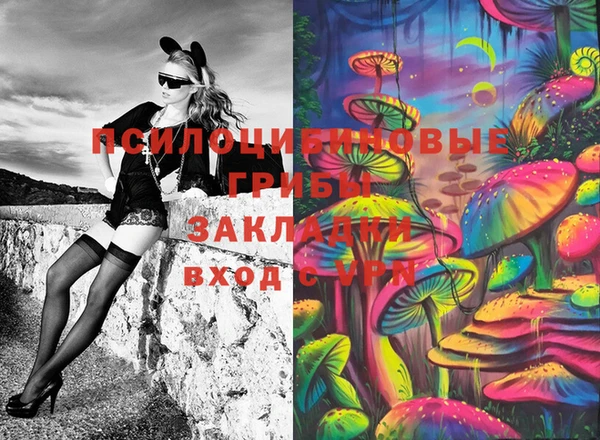 шишки Заводоуковск