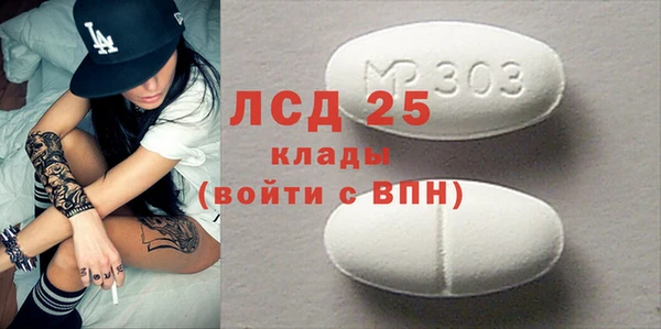 шишки Заводоуковск